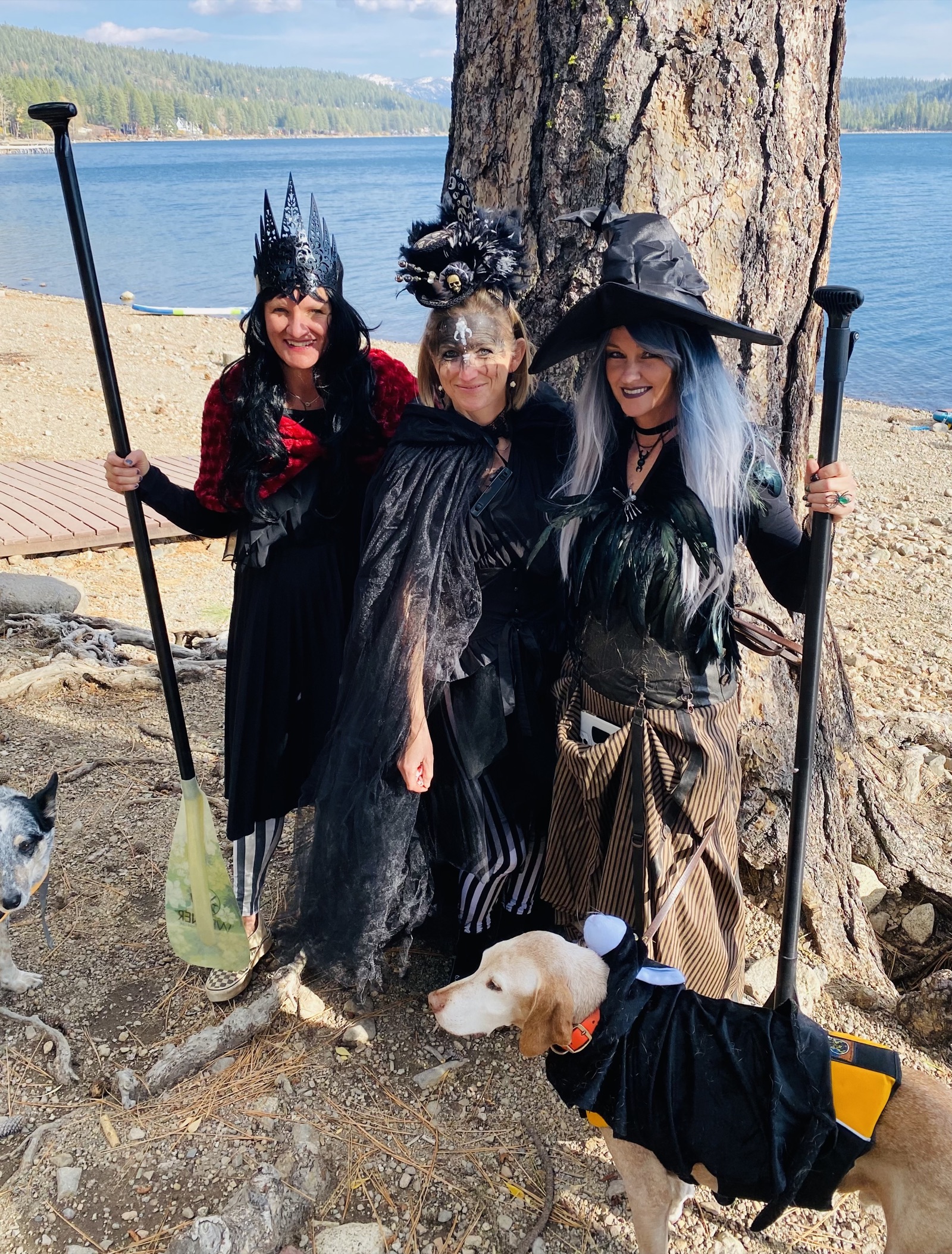 Three costumed witches and two dogs pose beside a tree at Donner Lake.