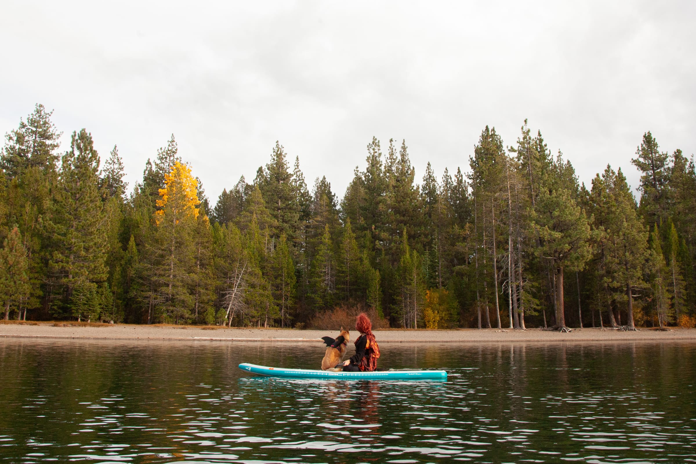 A costumed paddler and dog share a turquoise paddleboard on calm Donner Lake.